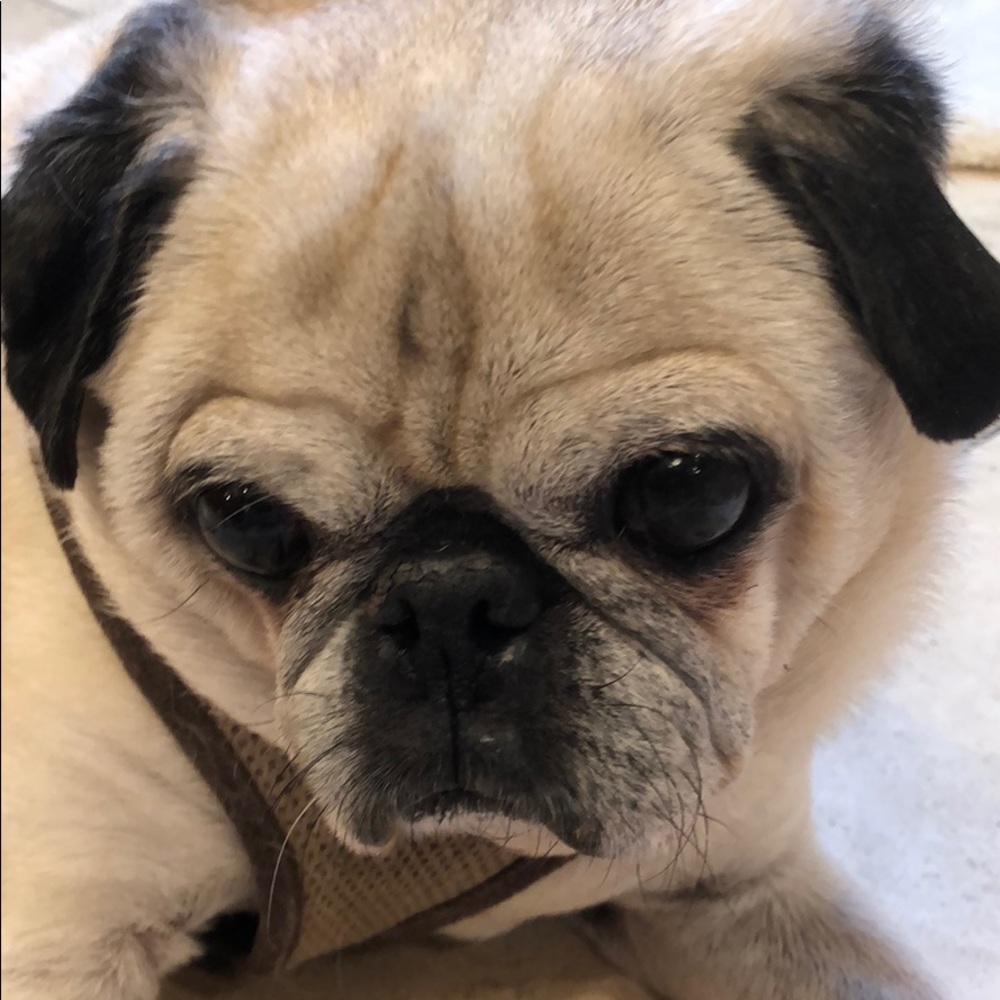 Meet your Posher, Hope